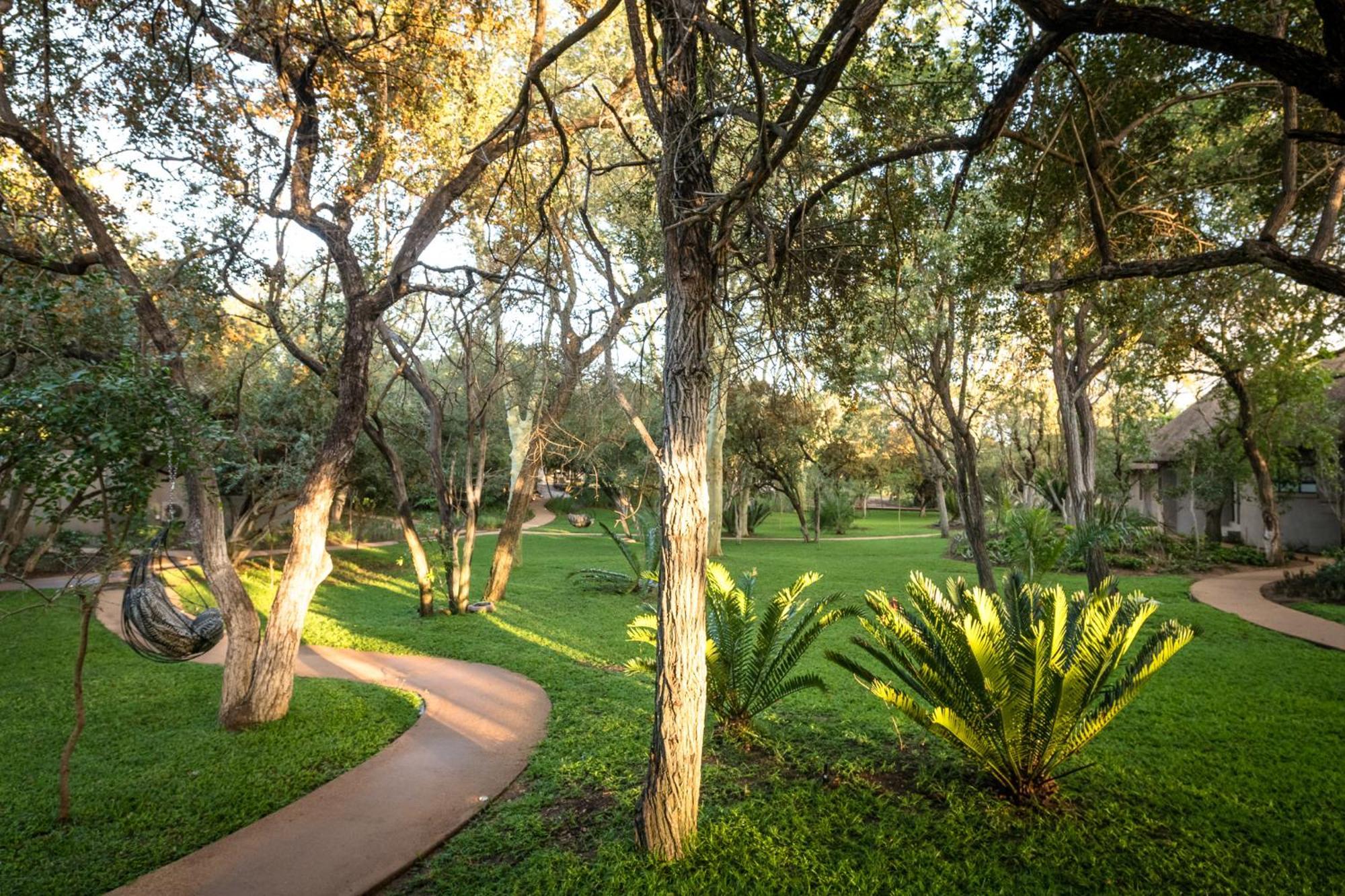 Serondella Safari Lodge Thornybush viltreservat Exteriör bild