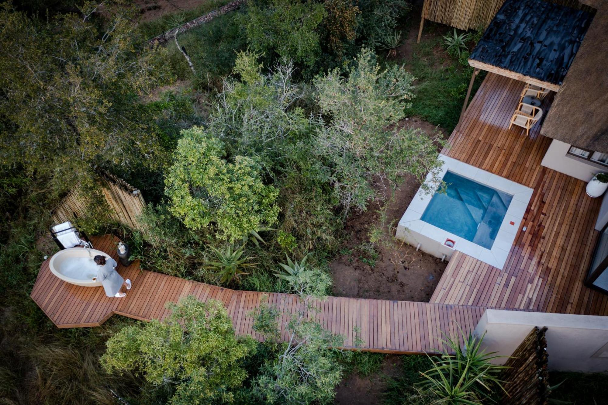 Serondella Safari Lodge Thornybush viltreservat Rum bild
