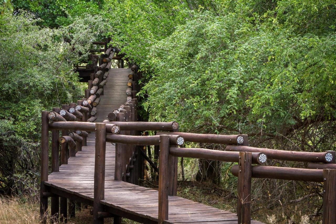 Serondella Safari Lodge Thornybush viltreservat Exteriör bild